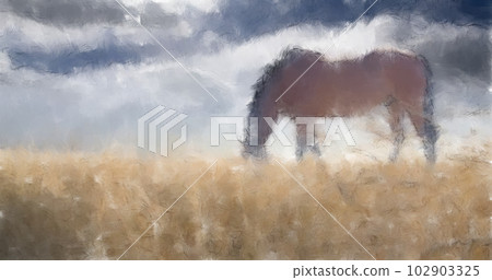 Stallion 102903325