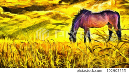 Horse on pasture Horse on pasture 102903335