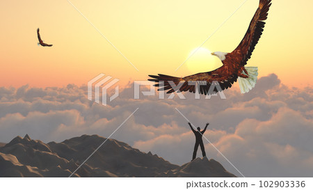 Freedom 102903336
