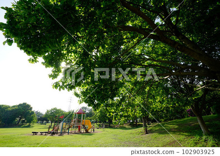 和光林地公園 102903925