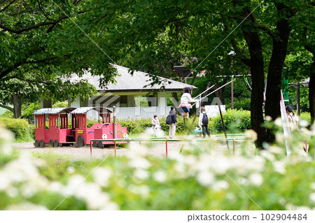 大都會大泉中央公園 102904484