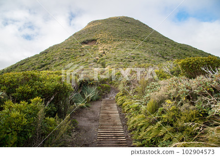 Beautiful view of the mountain in Pouakai range in Egmont national park of Western region of North island, New Zealand. Beautiful view of the mountain in Pouakai range in Egmont national park of Western region of North island, New Zealand. 102904573