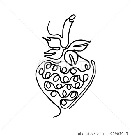 Hand drawn illustration. vector isolated fruit slice. Black outline illustration, watermelon, strawberry, grenade, pear, cherry, vector, lineart of fruit slice. Graphic grapes. grapewines. 102905645