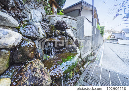 Kojimaya Spring 102906238