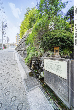 Kojimaya Spring 102906239