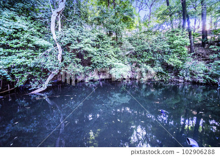 武州白子熊野神社 102906288