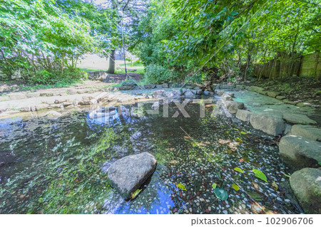 柿木坂泉水公園 102906706