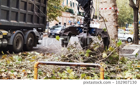 A technician loads cut tree branches using a special machine A technician loads cut tree branches using a special machine 102907130