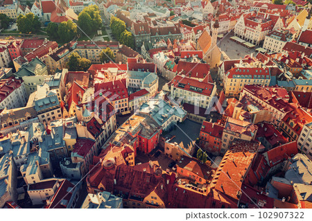 Aerial View of Tallinn Aerial View of Tallinn 102907322