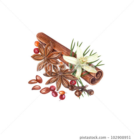 Watercolor illustration of sea buckthorn, cranberries, cinnamons, pine needles, cloves and lemon flower isolated on white background. Set of spices for cards, package design, advertising posters Watercolor illustration of sea buckthorn, cranberries, cinnamons, pine needles, cloves and lemon flower isolated on white background. Set of spices for cards, package design, advertising posters 102908951