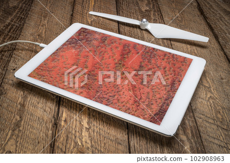 red badlands landscape with a coarse vegetation in Colorado foothills, reviewing an aerial image on a digital tablet 102908963