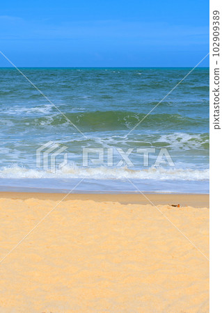 The landscape of a Brazilian northeast beach, Trancoso - Bahia 102909389