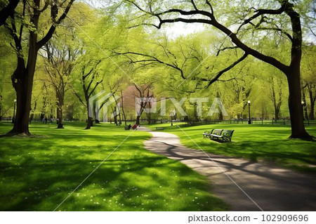 Beautiful public park with green grass field on morning light Created with Generative AI technology. Beautiful public park with green grass field on morning light Created with Generative AI technology. 102909696