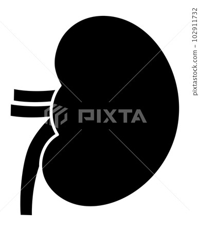 人體腎臟剪影 人體腎臟剪影 102911732