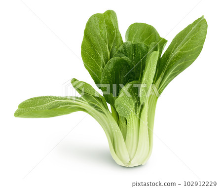 Fresh pak choi cabbage isolated on white background with full depth of field 102912229