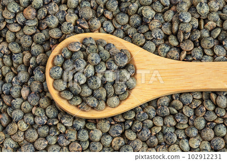 raw french green lentils in wooden spoon as a background. Top view. Flat lay 102912231