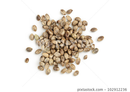 Hemp seeds isolated on white background with full depth of field. Top view. Flat lay 102912236