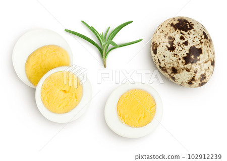 boiled quail egg isolated on white background with full depth of field. Top view. Flat lay 102912239