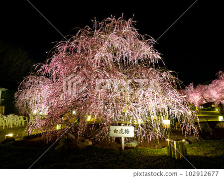 鈴鹿森林花園 鈴鹿森林花園 102912677