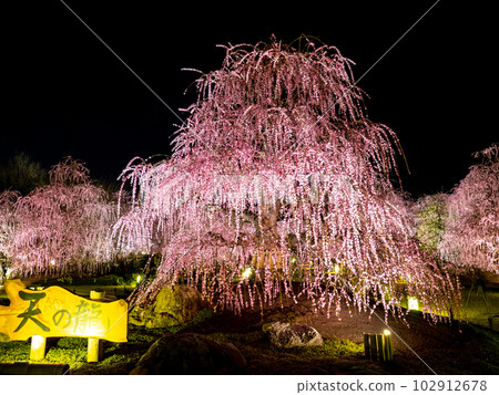 鈴鹿森林花園 102912678