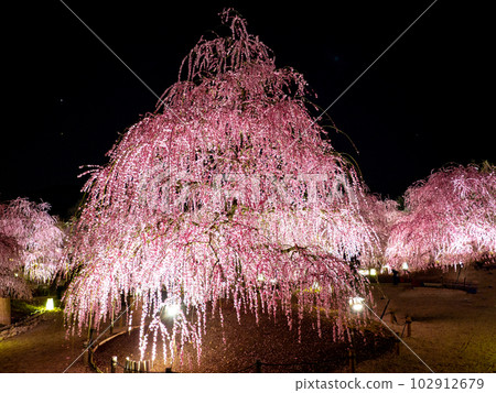 鈴鹿森林花園 鈴鹿森林花園 102912679