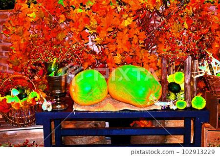 halloween halloween halloween 102913229