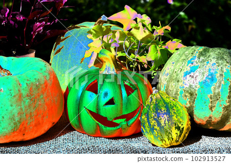 halloween halloween halloween 102913527