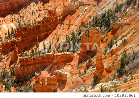 Scenic view of amazing red sandstone hoodoos in Bryce Canyon National Park in Utah, USA. 102913661