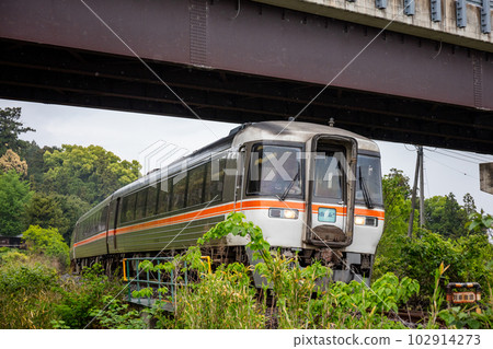 [Kisei Main Line] Nanki No. 5 passing through fresh green in the rain 102914273
