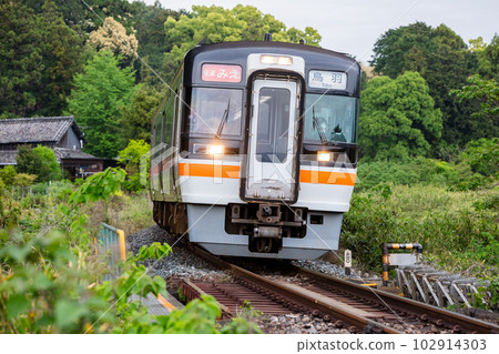 [紀成本線]雨中穿過新綠的快速服務三重 102914303