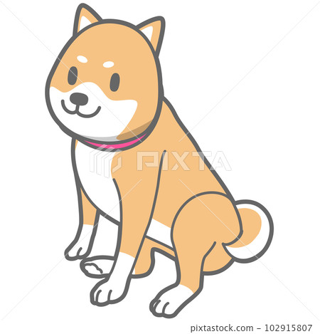 Vector illustration of a sitting Shiba Inu 102915807