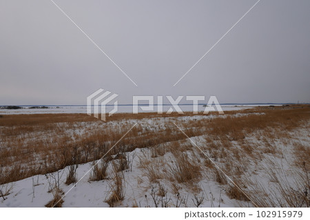 北海道的野付半島結冰 北海道的野付半島結冰 102915979