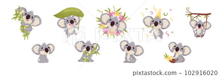 Cute Gray Koala Bear Engaged in Different Activity Vector Set Cute Gray Koala Bear Engaged in Different Activity Vector Set 102916020