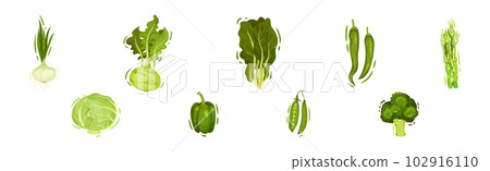 Green Vegetables and Organic Eco Food Vector Set 102916110