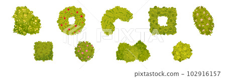 Green Bushes and Shaped Shrubs as Decorative Park Flora Vector Set 102916157