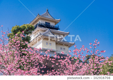 （靜岡縣）掛川城堡和掛川櫻花的天守閣 102916708