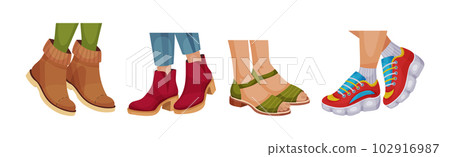 Female Legs Wearing Fashion Shoes and Footwear Vector Set Female Legs Wearing Fashion Shoes and Footwear Vector Set 102916987