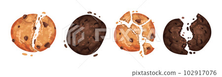 Chocolate Cookies with Drops and Crumbs Vector Set 102917076