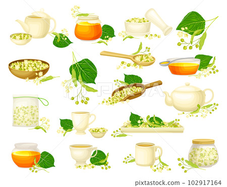 Small-leaved Linden or Tilia Cordata Blossom with Lime Tea in Teapot and Honey in Jar Big Vector Set Small-leaved Linden or Tilia Cordata Blossom with Lime Tea in Teapot and Honey in Jar Big Vector Set 102917164