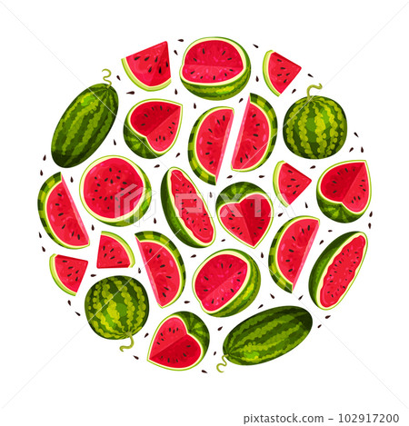 Fresh Watermelon Round Composition Design with Juicy Red Fruit Vector Template 102917200