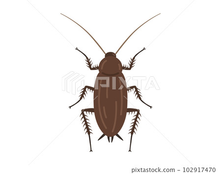Illustration of a brown cockroach 102917470