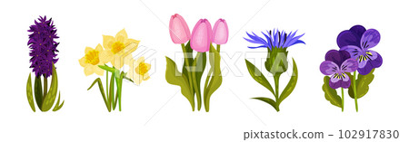 Spring Flowers on Green Stem as Seasonal Botany Growing Vector Set 102917830