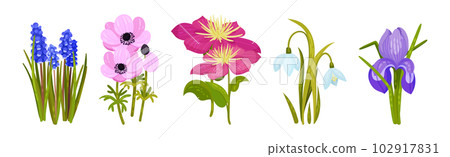 Spring Flowers on Green Stem as Seasonal Botany Growing Vector Set 102917831