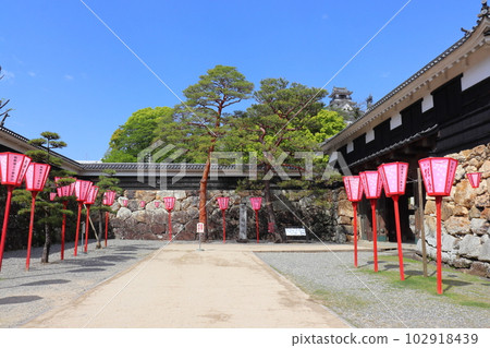 Kochi Castle Tenshu和Ochimon 102918439
