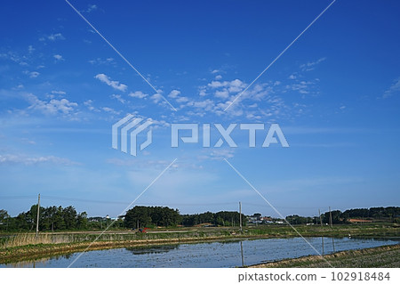 blue sky 102918484