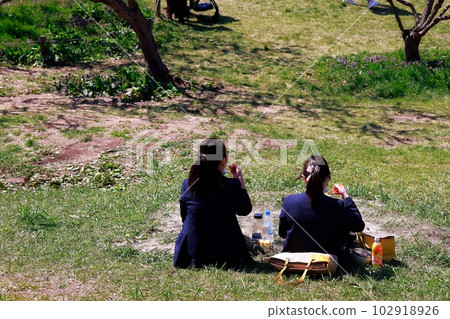 在公園吃午飯的女人 在公園吃午飯的女人 102918926