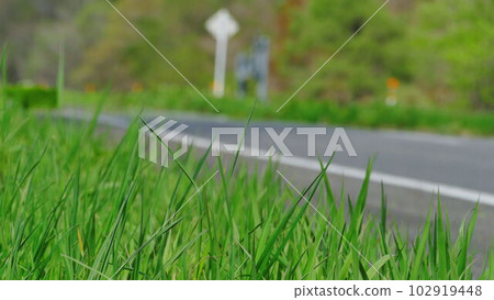 low angle country road low angle country road 102919448