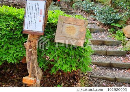 Japan's oldest shrine Iki Tsukiyomi Shrine Japan's oldest shrine Iki Tsukiyomi Shrine 102920003