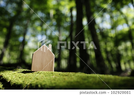 House image Living environment Wooden house 102920081