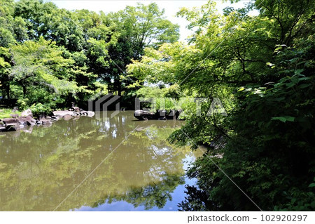 Soothing fresh greenery reflected on the surface of the water Mikamoyama 102920297